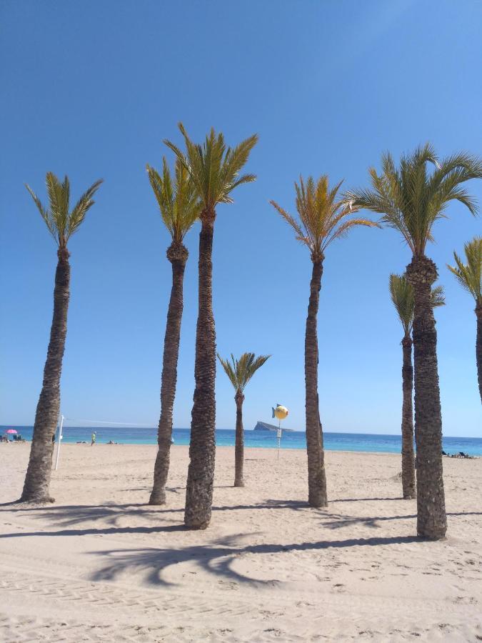 Orly Centro * Benidorm