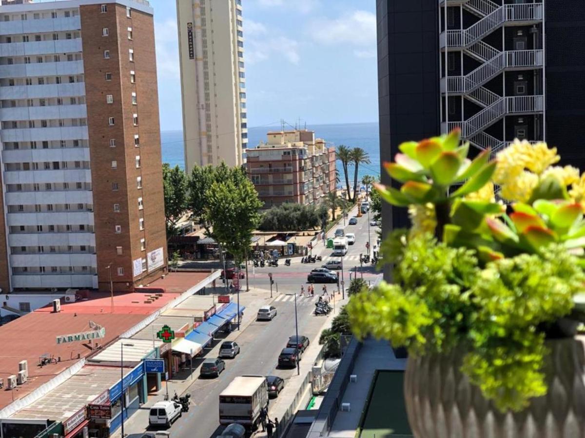 Payma Apartment *