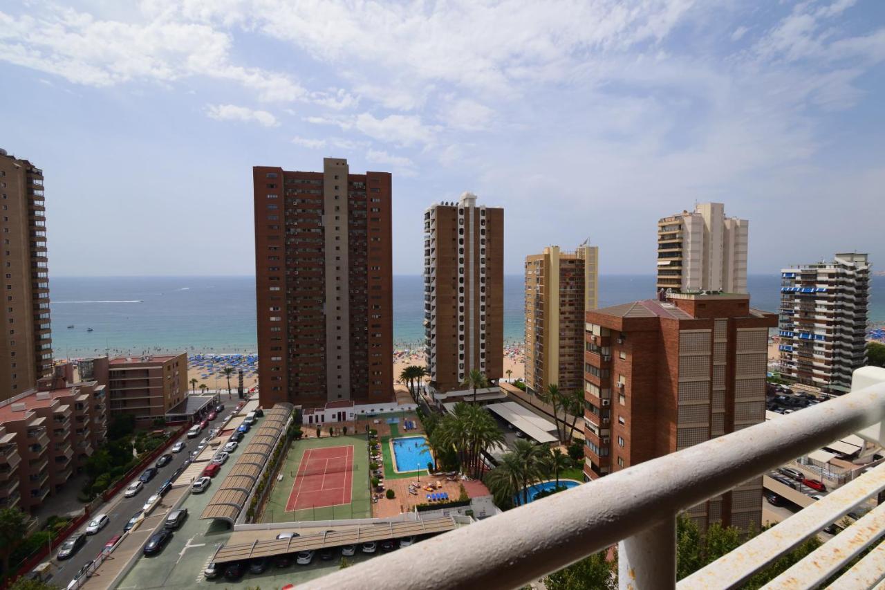 Caballos - Arena Benidorm