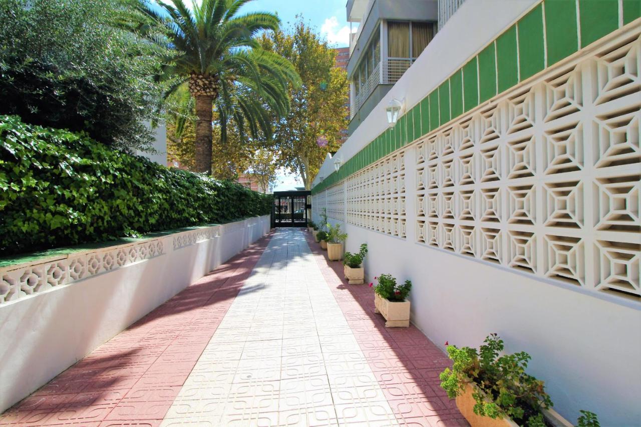 Caballos 12-c Levante Benidorm