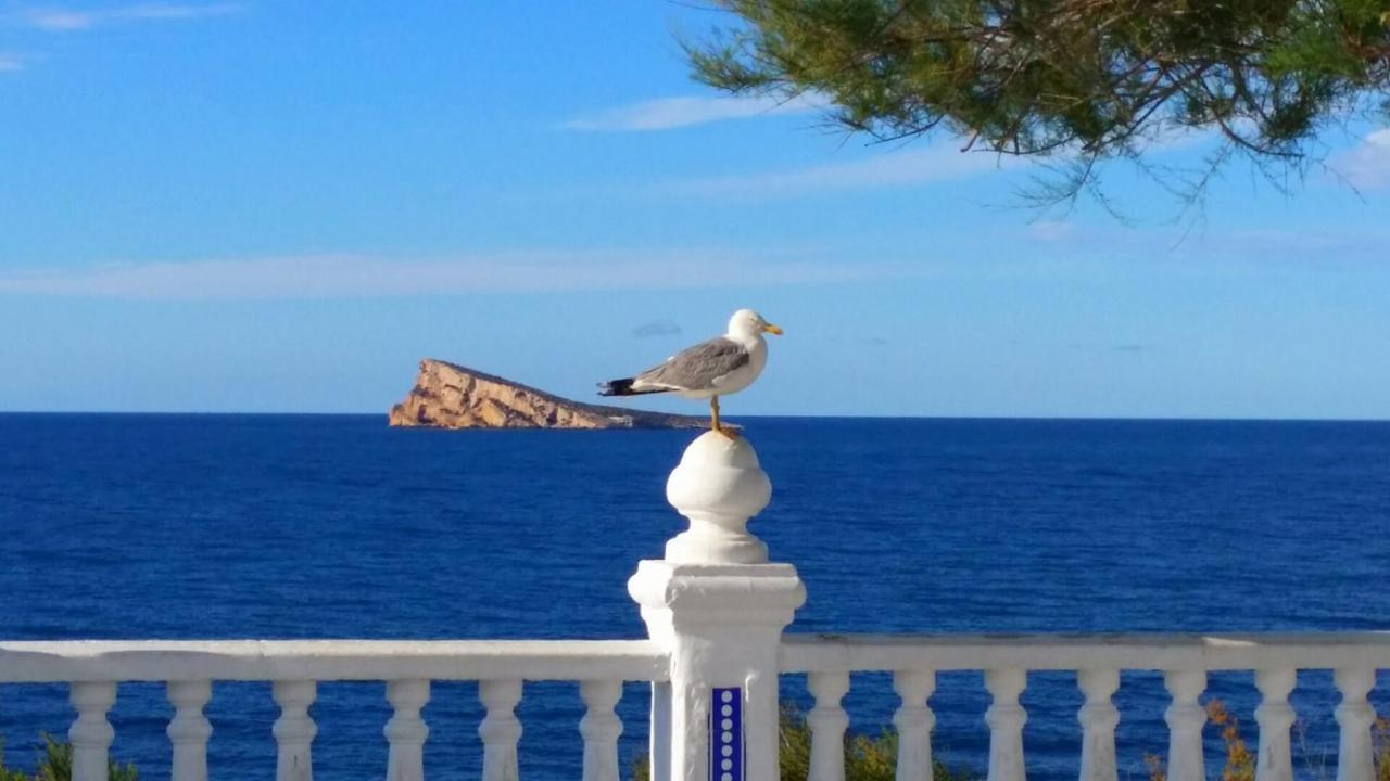 Playa Levante Coblanca Apartment Benidorm