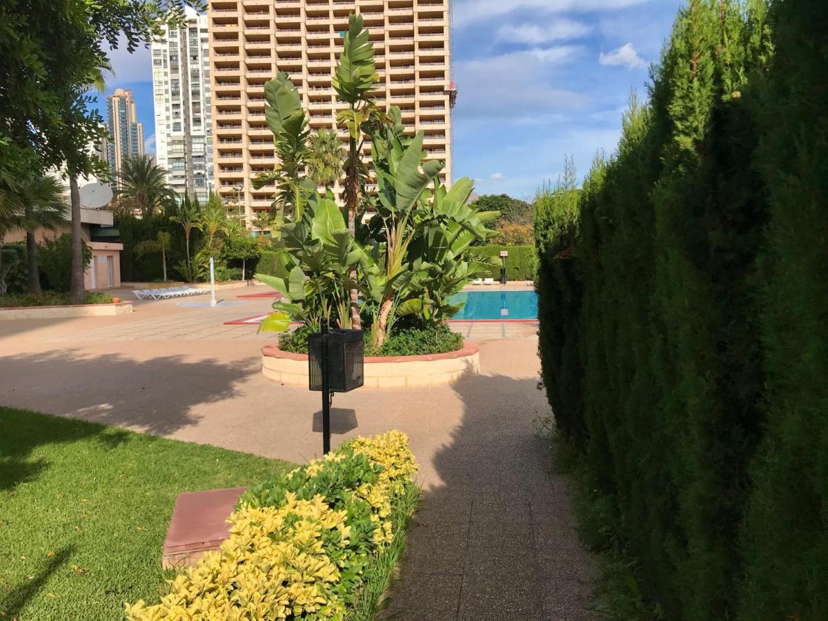 Paraiso 10 Blueline Apartment *