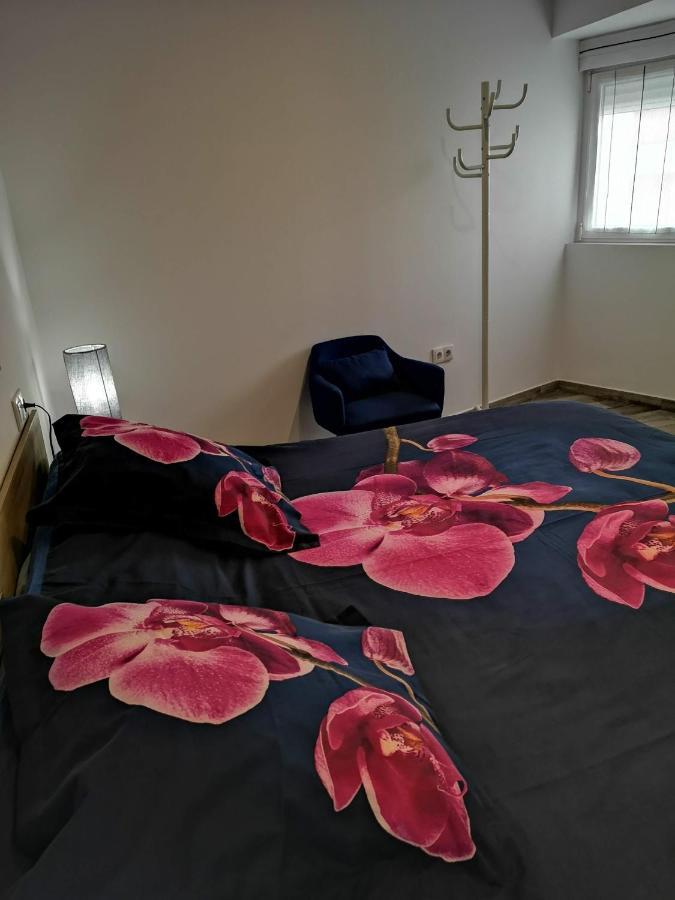 Ibañez Apartamento