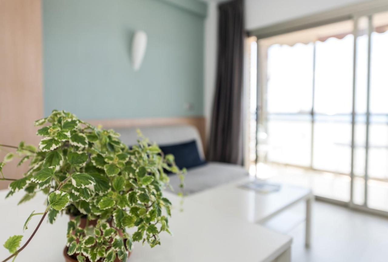 Flats Friends Atlantida Apartment