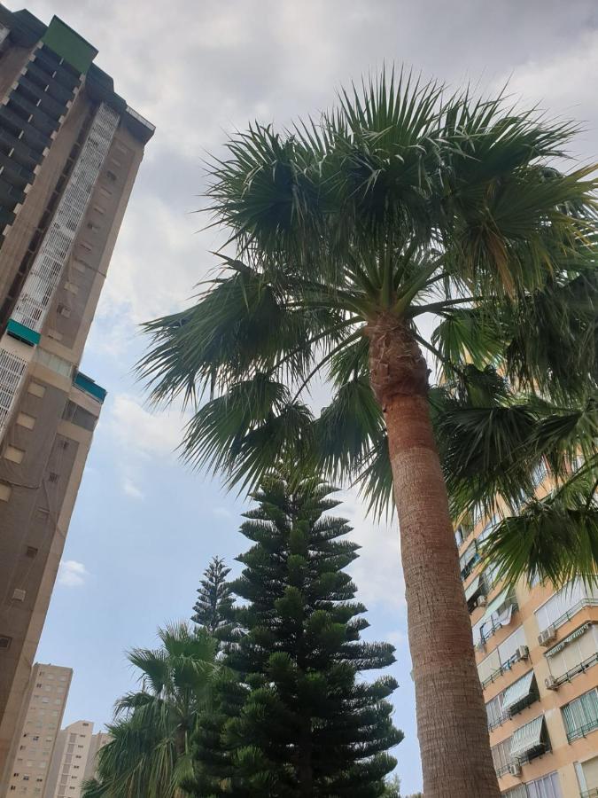 The Skyline Apartment Benidorm