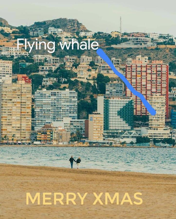 Apartment Portofino Flying Whale *
