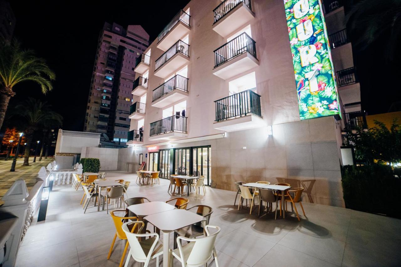 Palm Court Apartment