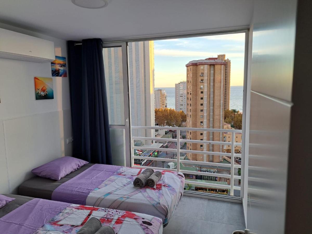 Provima Mallorca V