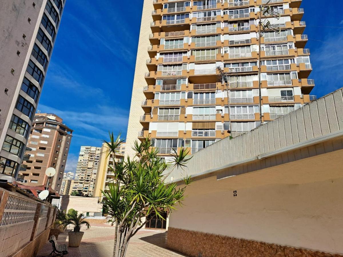 Provima Mallorca V Benidorm