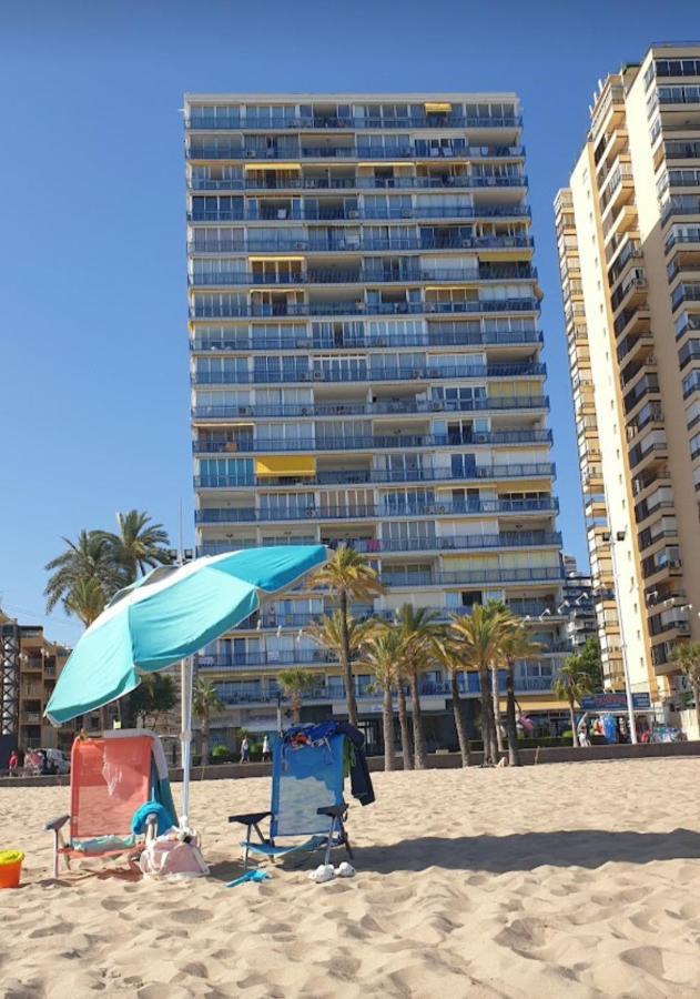 Palmeras 6 If * Benidorm