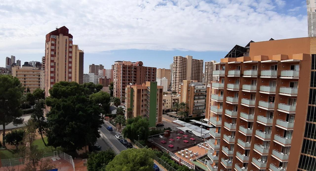 Apartment Torre Colon If