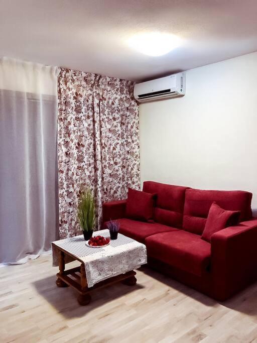 Apartamento Puerto *