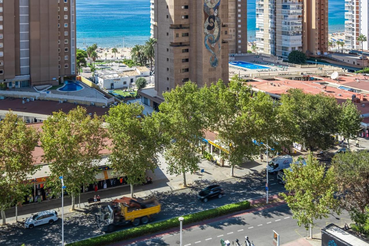 Albatros 13-8 Estudio Levante Appartement