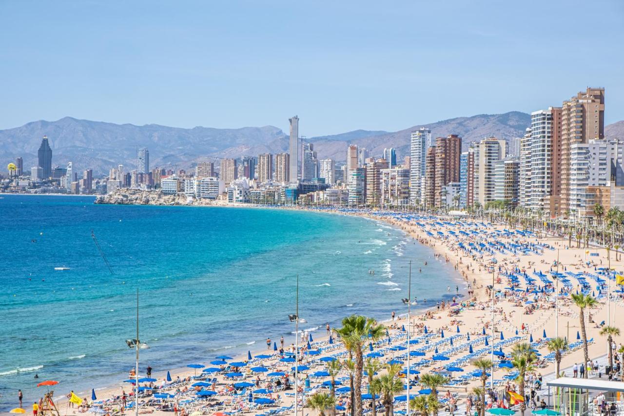 Albatros 13-8 Estudio Levante Appartement Benidorm