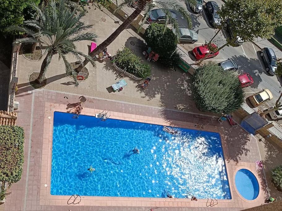 Mobydick 10g Appartement