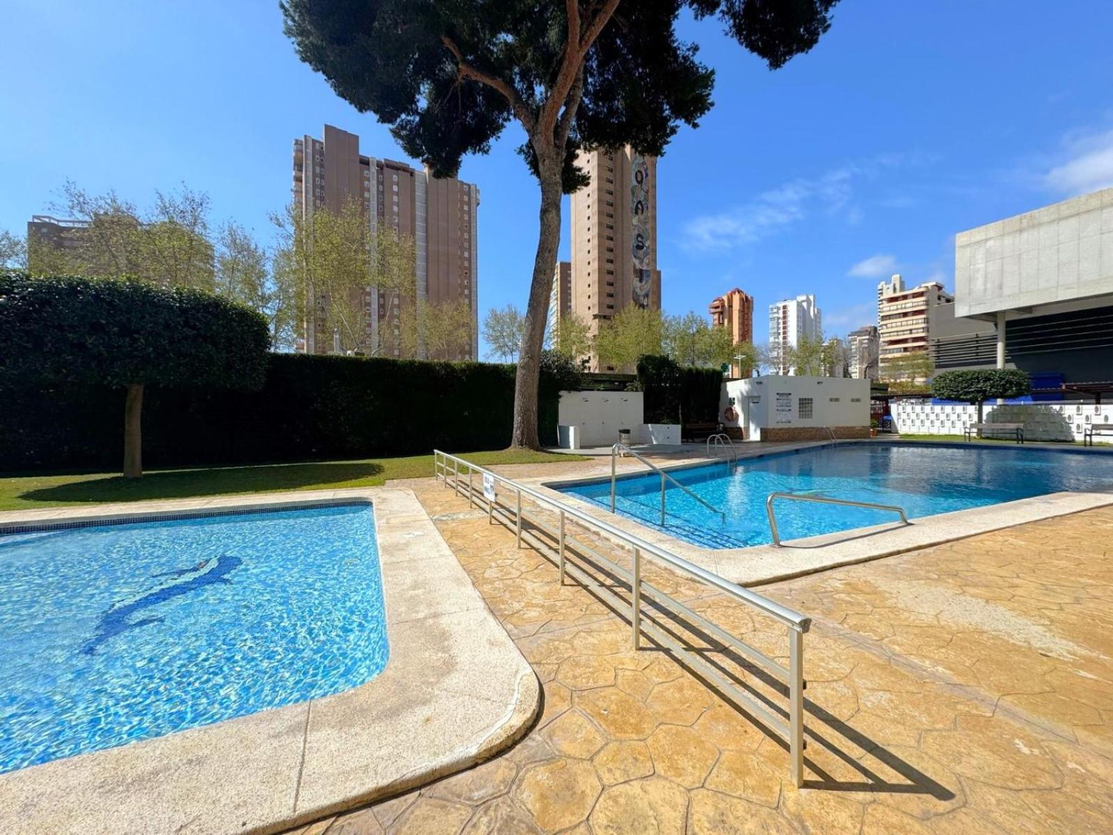 Albatros 14-12 Apartment *