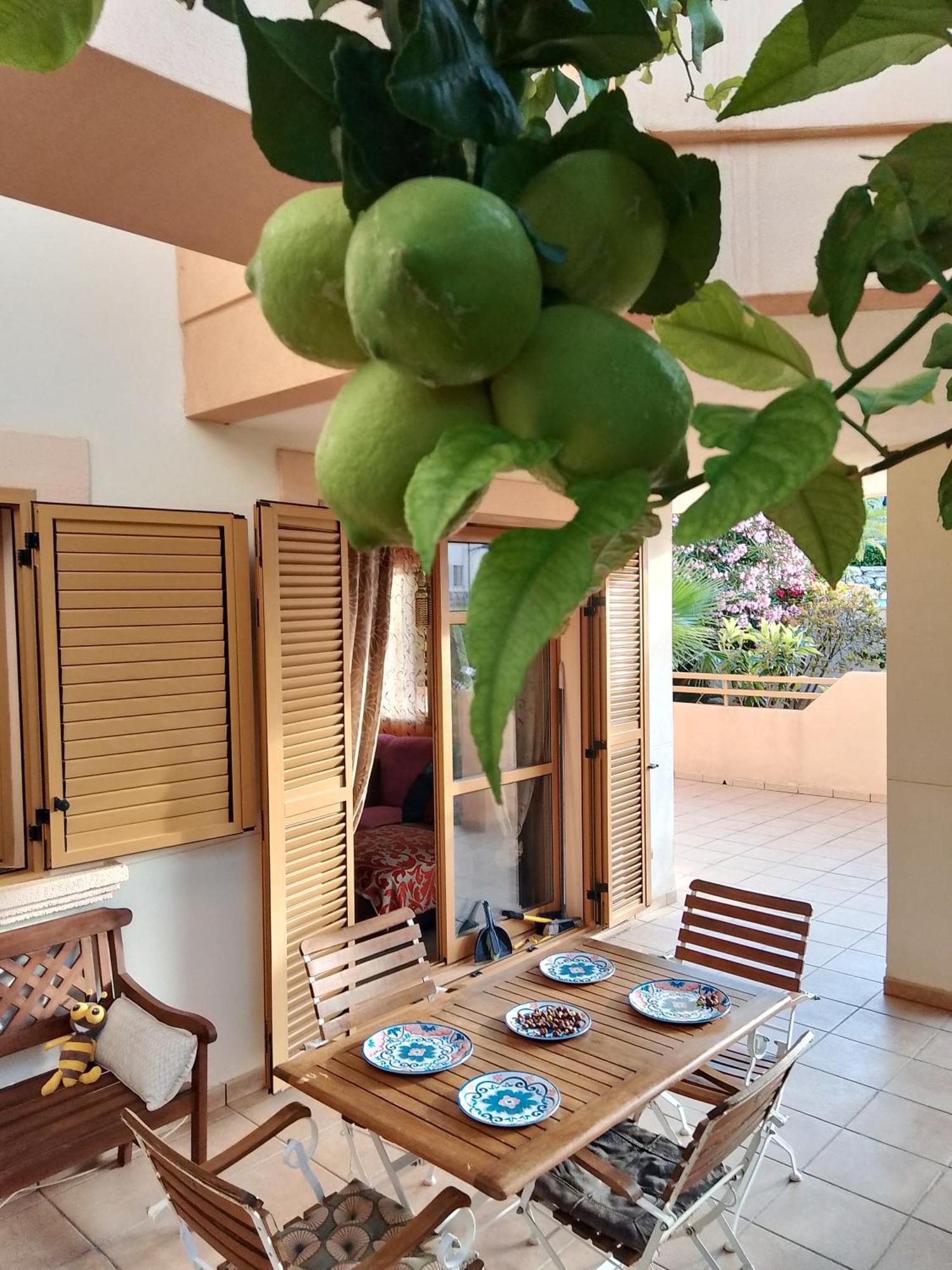 Deluxe Garden Flat Near Terra-mítica Apartamento