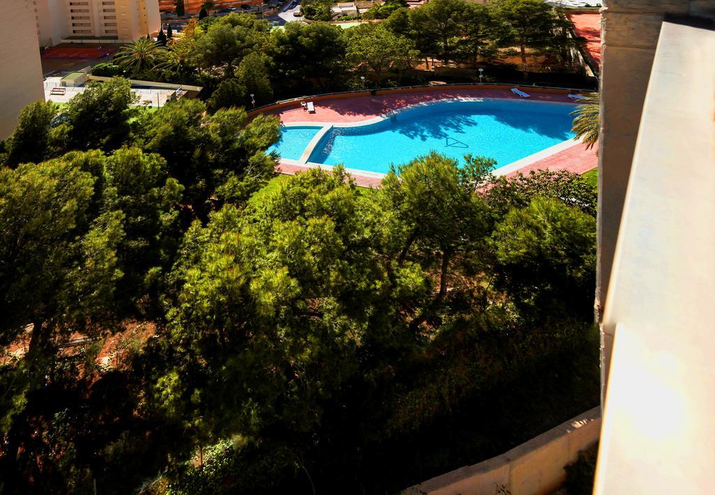 Appartement Muchosol *