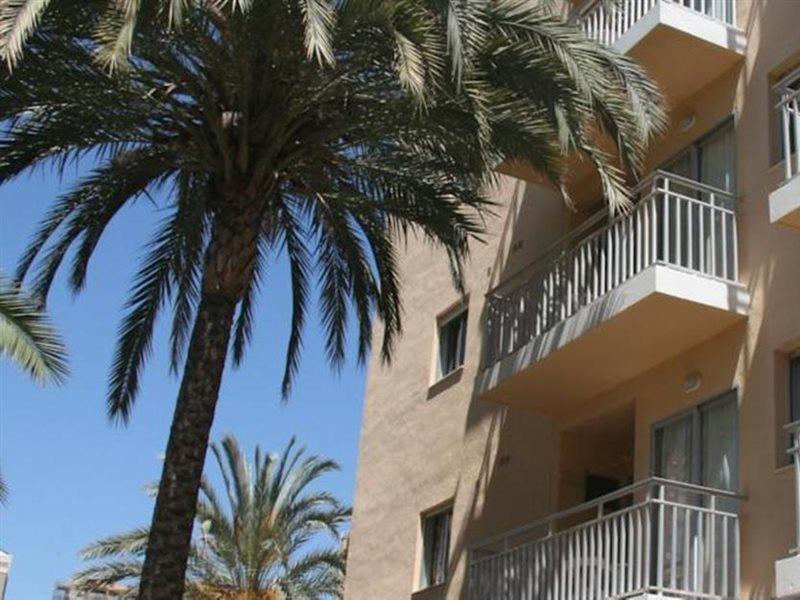 Palm Court * Benidorm