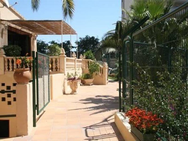 Palm Court