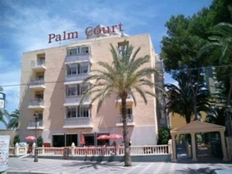 Palm Court Apartment *