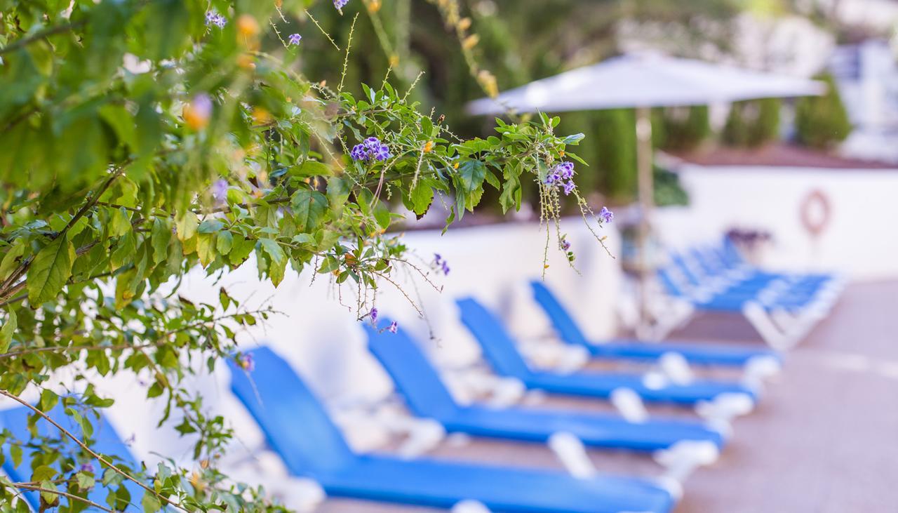 Hotel Calas Marina Benidorm