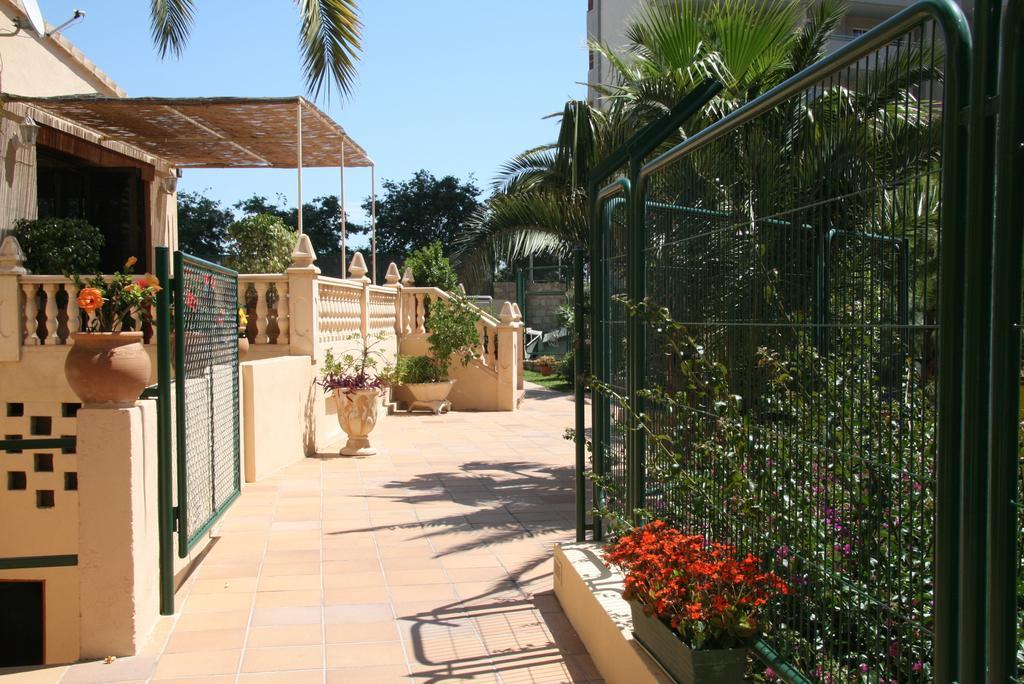 Palm Court Apartment