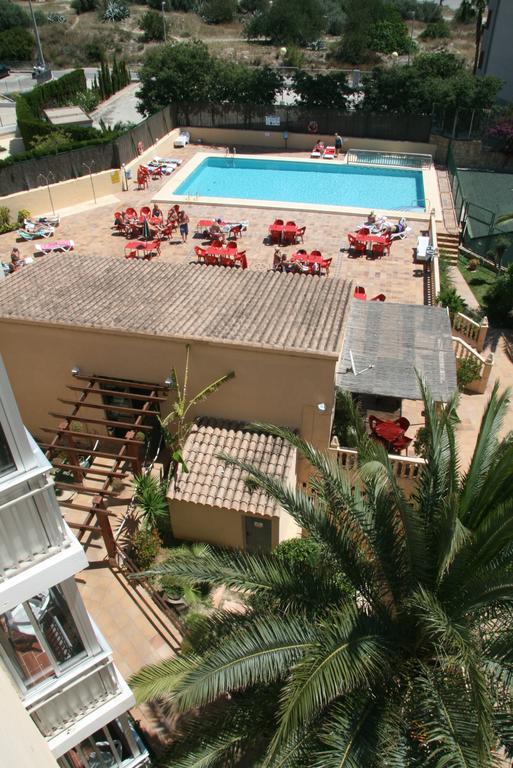 Apartment Palm Court Benidorm