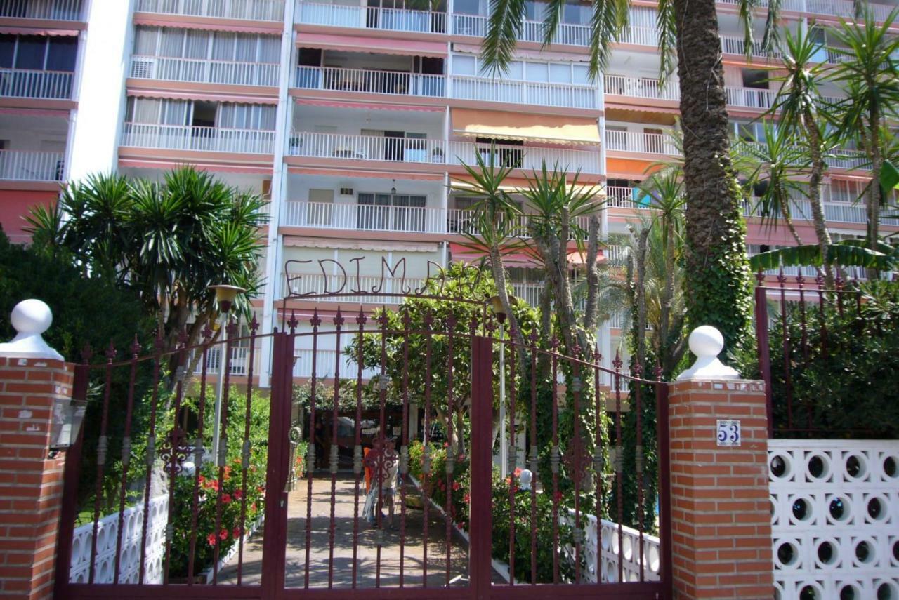 Edimar - Arena
