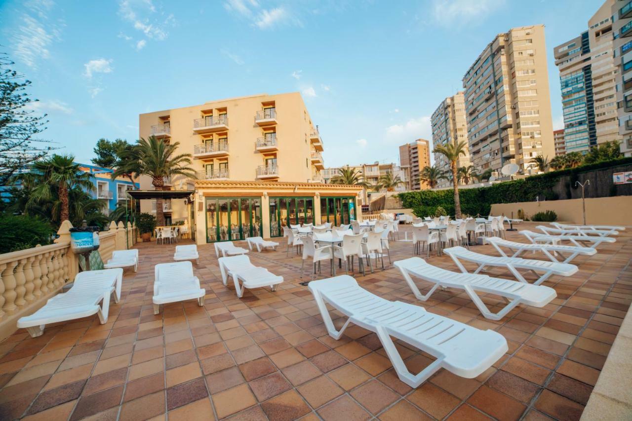 Palm Court Apartment