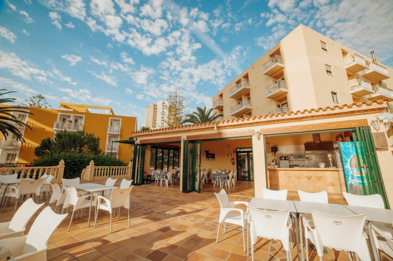 Apartment Palm Court Benidorm