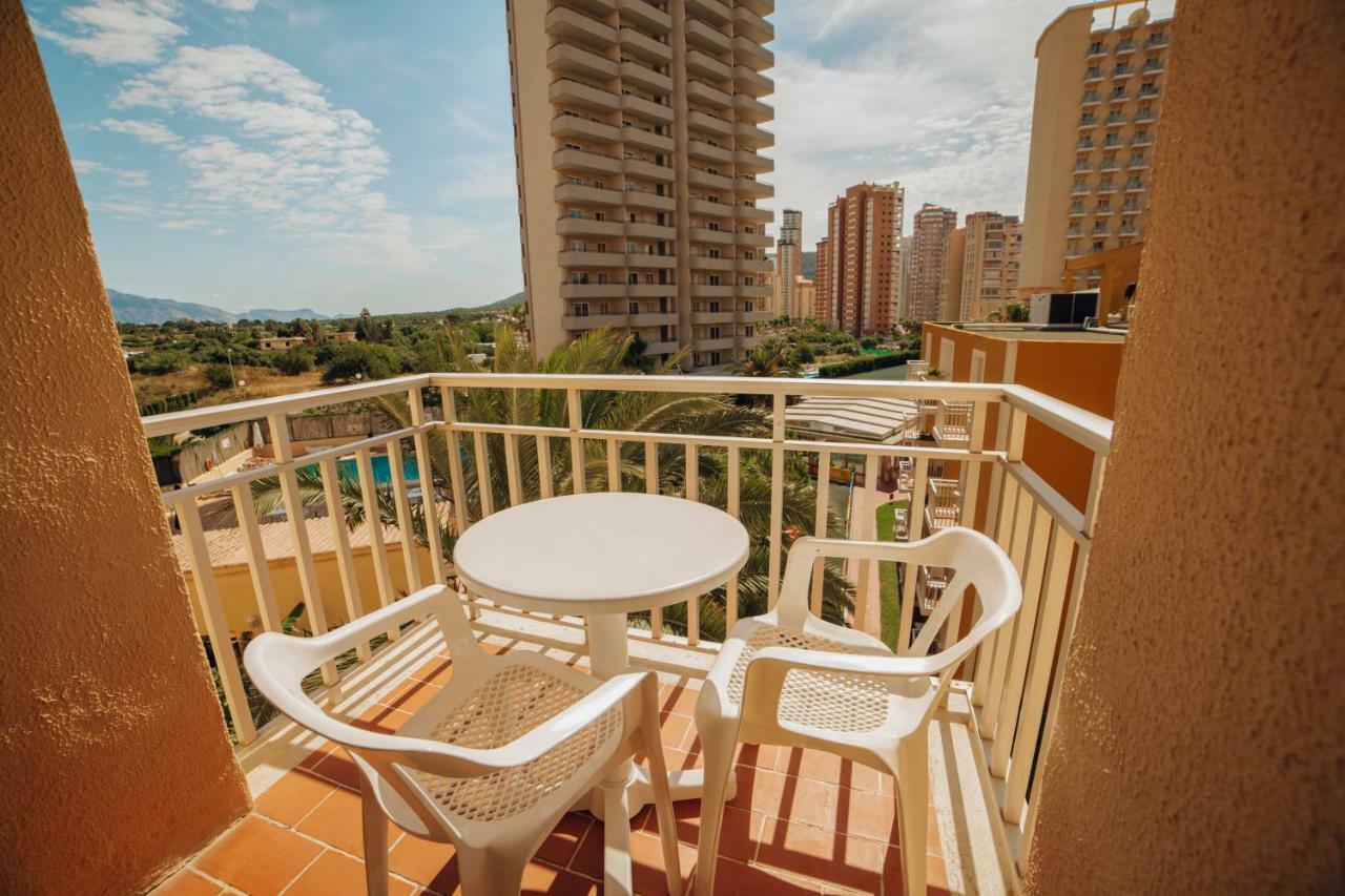 Apartment Palm Court