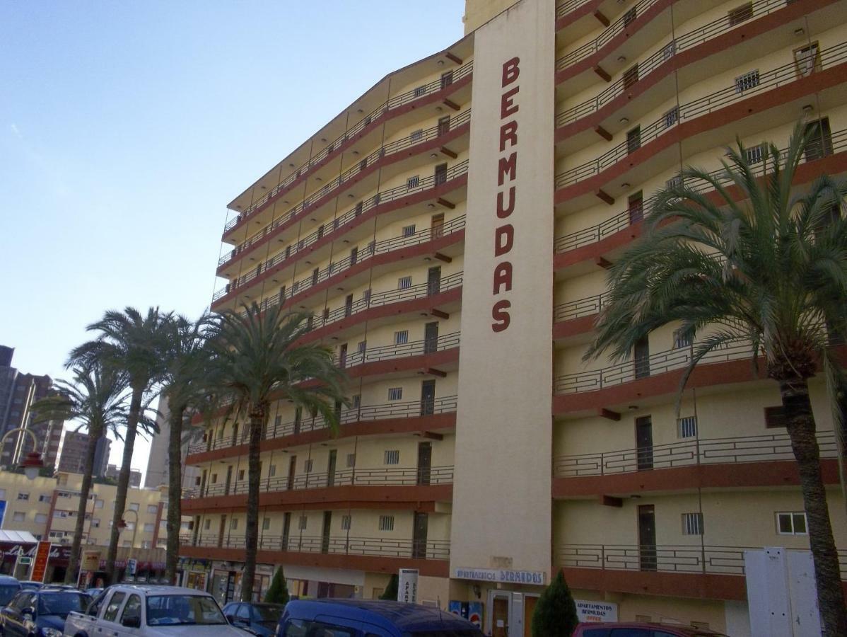 Bermudas-turis * Benidorm