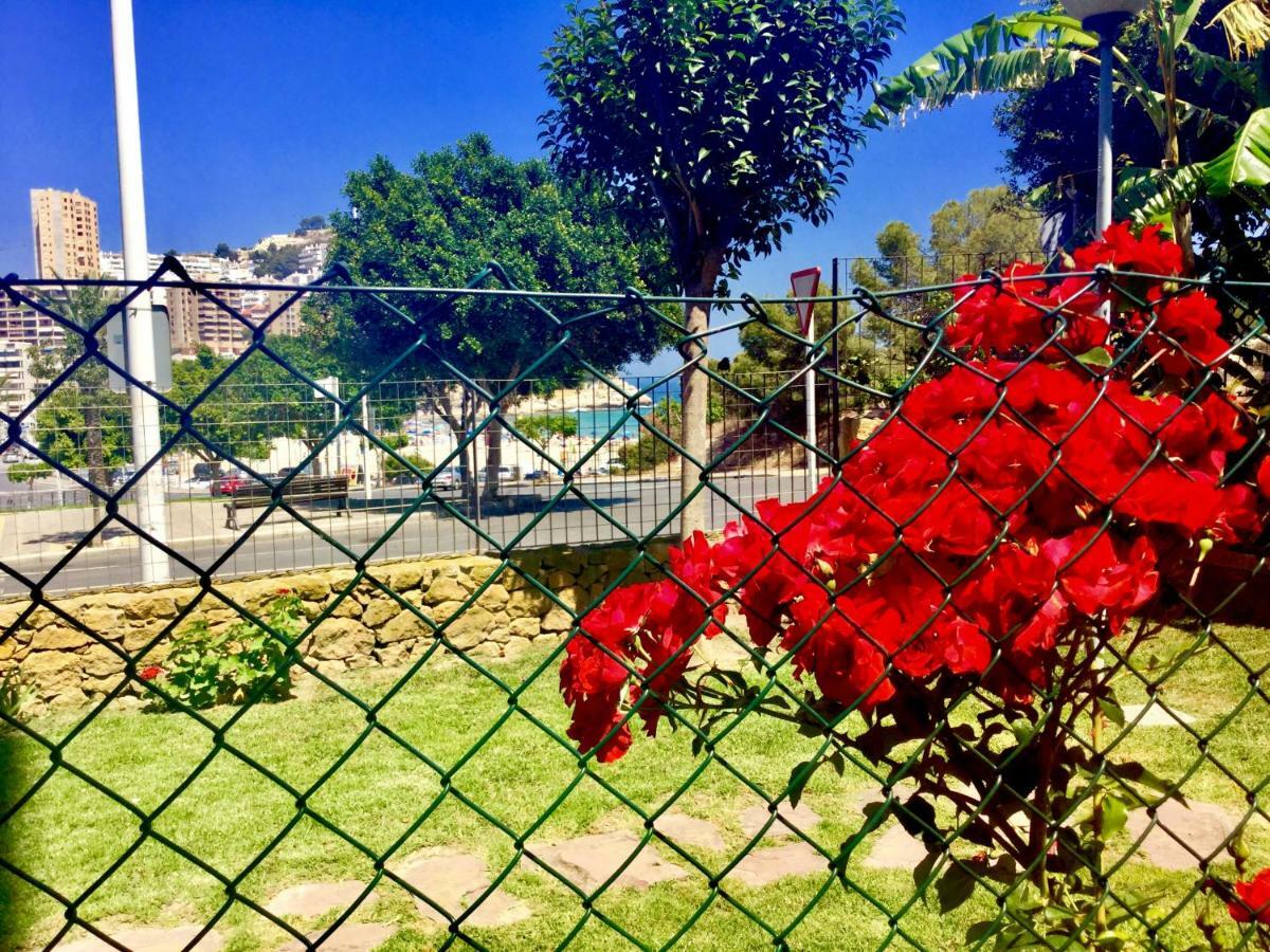 Alitana 2 Bedroom Ground Floor With Private Garden Apartment Benidorm