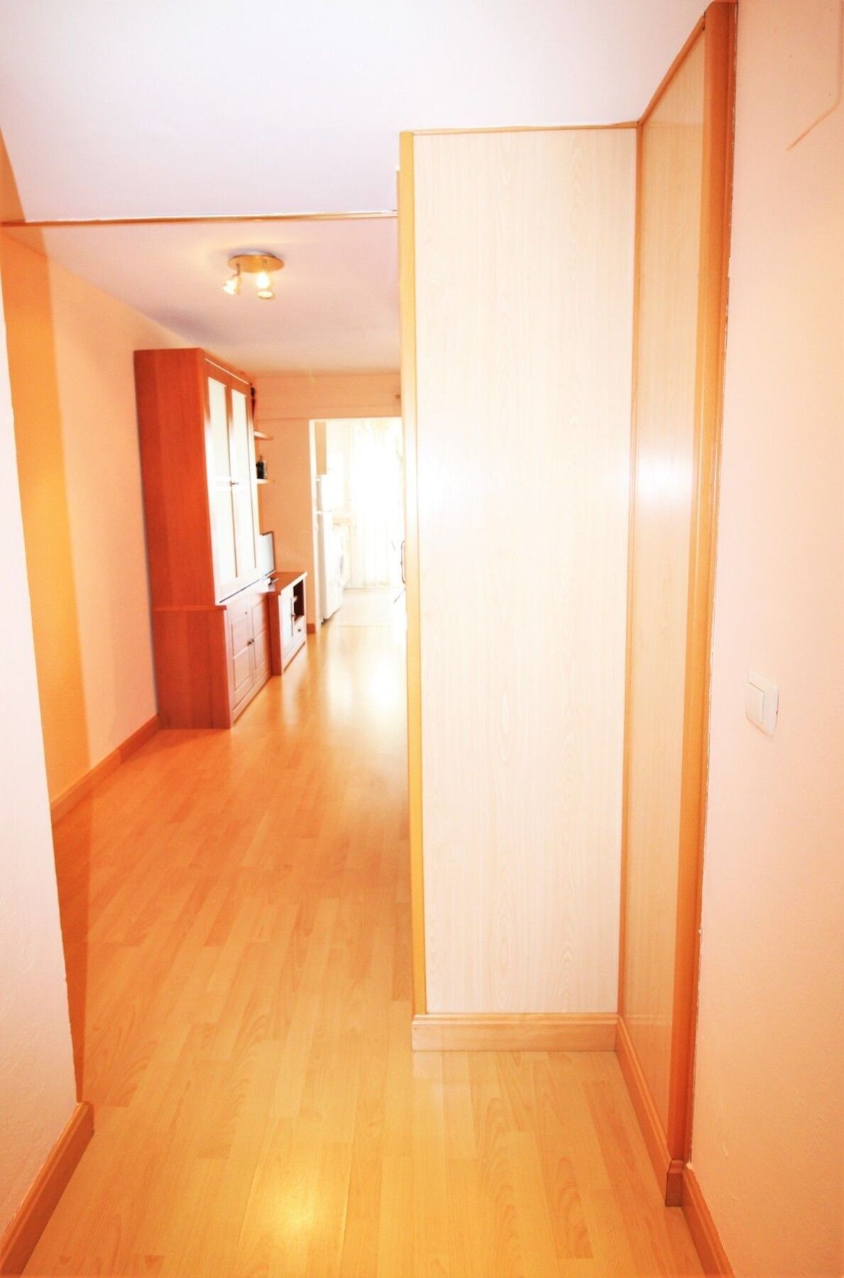 Apartment Albatros 1- 4 *