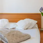 Apartamento Paraiso Florida