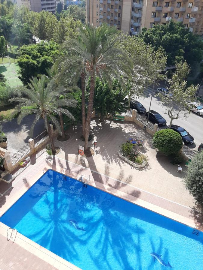 Moby Dick 1c Benidorm
