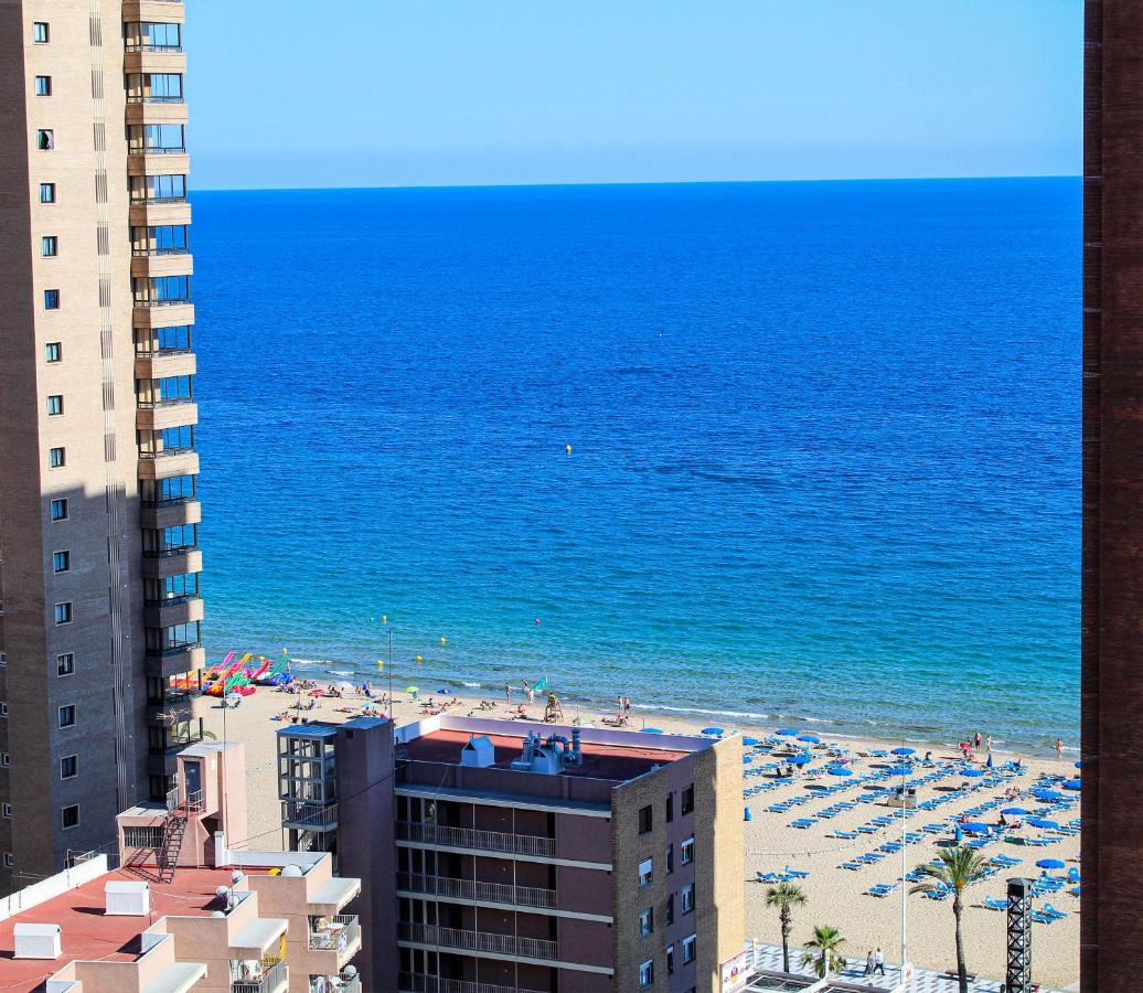 Caballos Premium Levante Benidorm