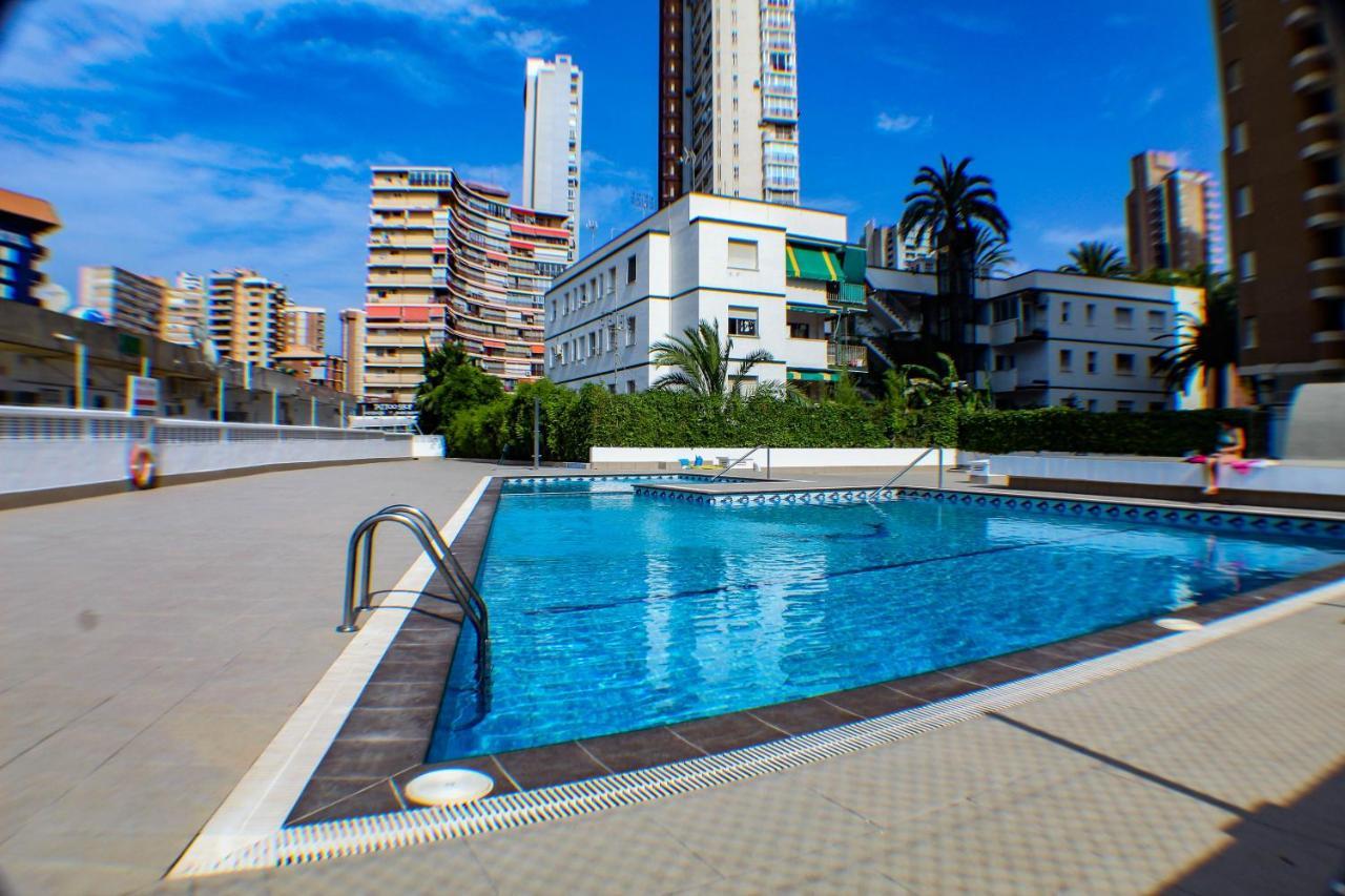 Caballos Premium Levante *