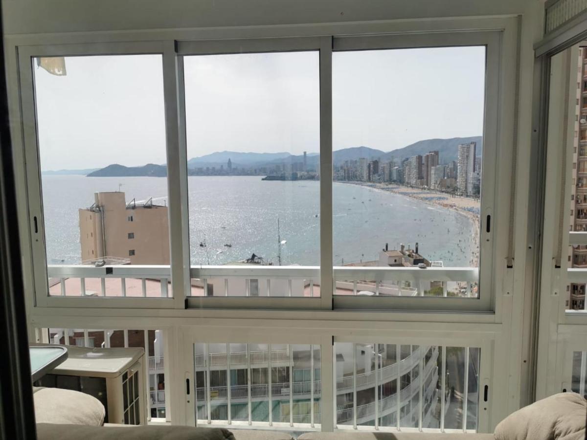 Halcón Levante Benidorm