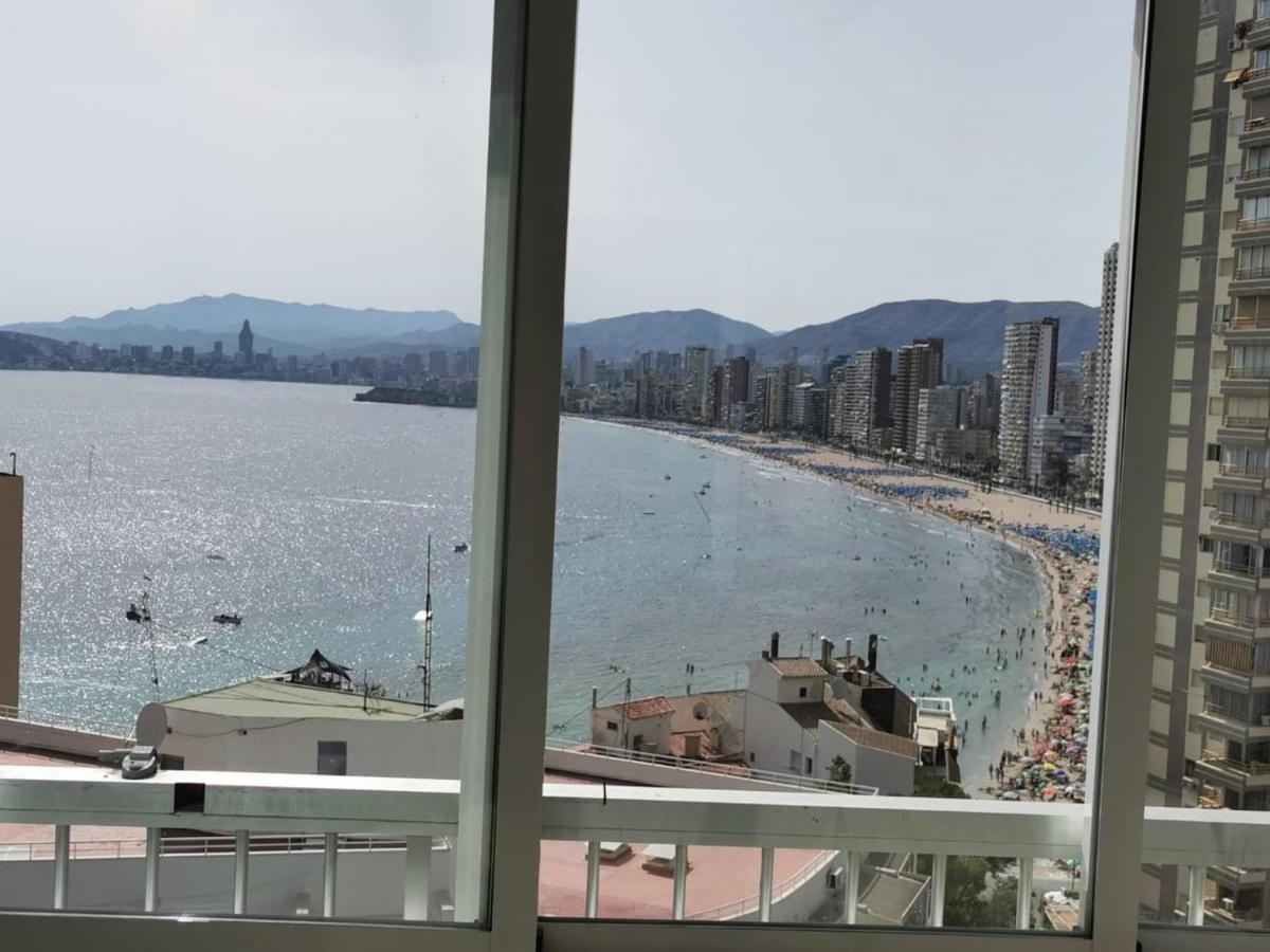 Halcón Levante * Benidorm
