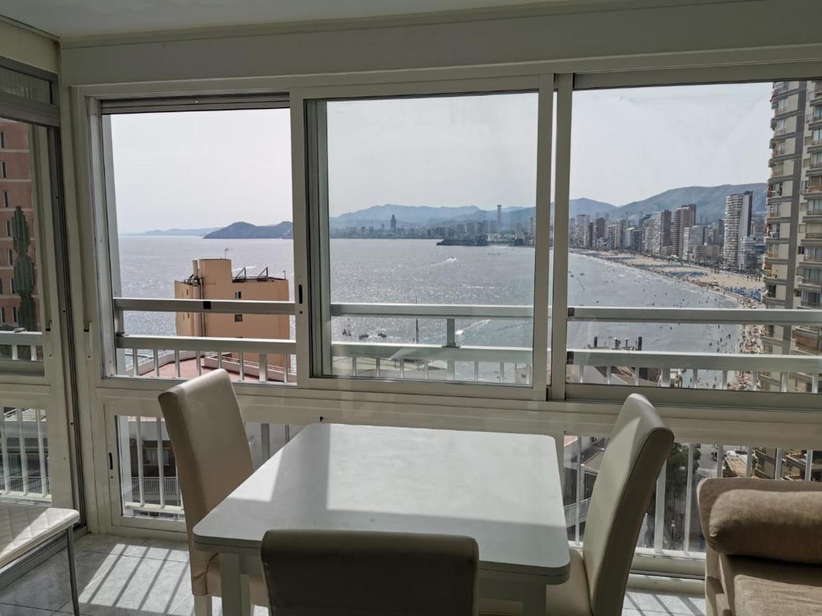 Halcón Levante Benidorm