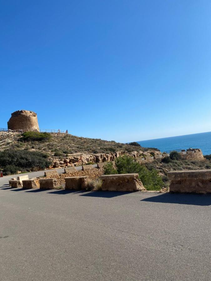 Belle Vue 1ère Lignée Marina