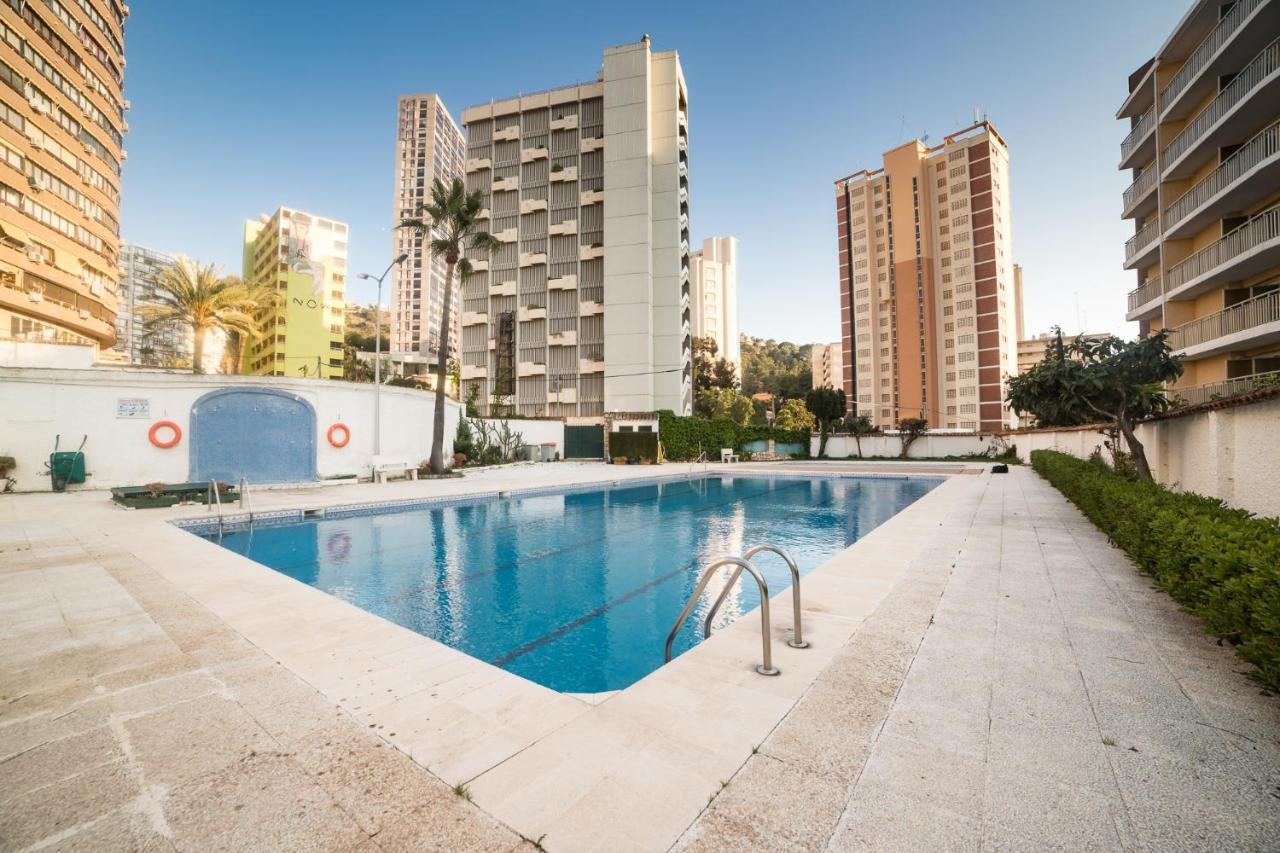 Moonkey - Luminoso Girasoles Benidorm