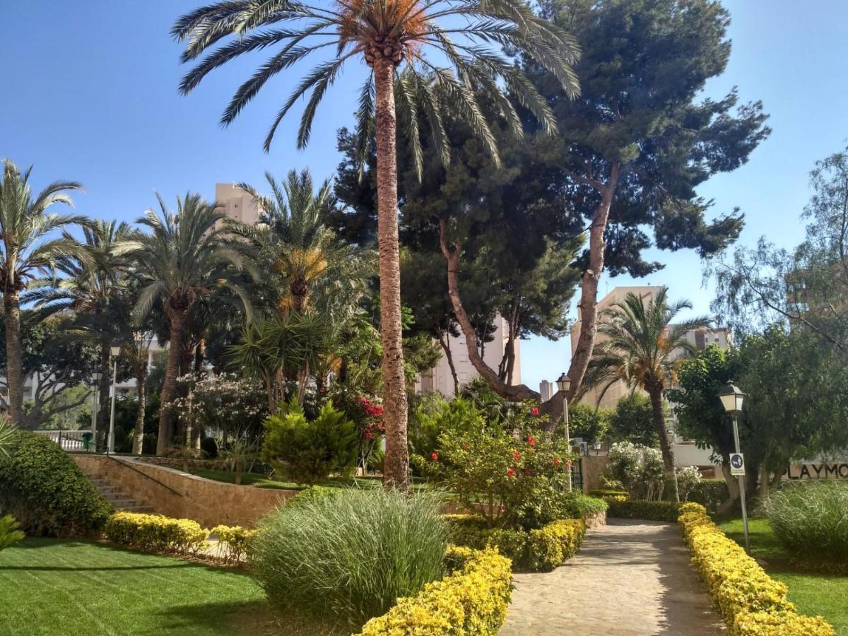 Wifi Loix * Benidorm