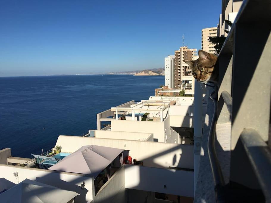 Piso En La Primera Linea Del Mar Con 2 Apartamento *