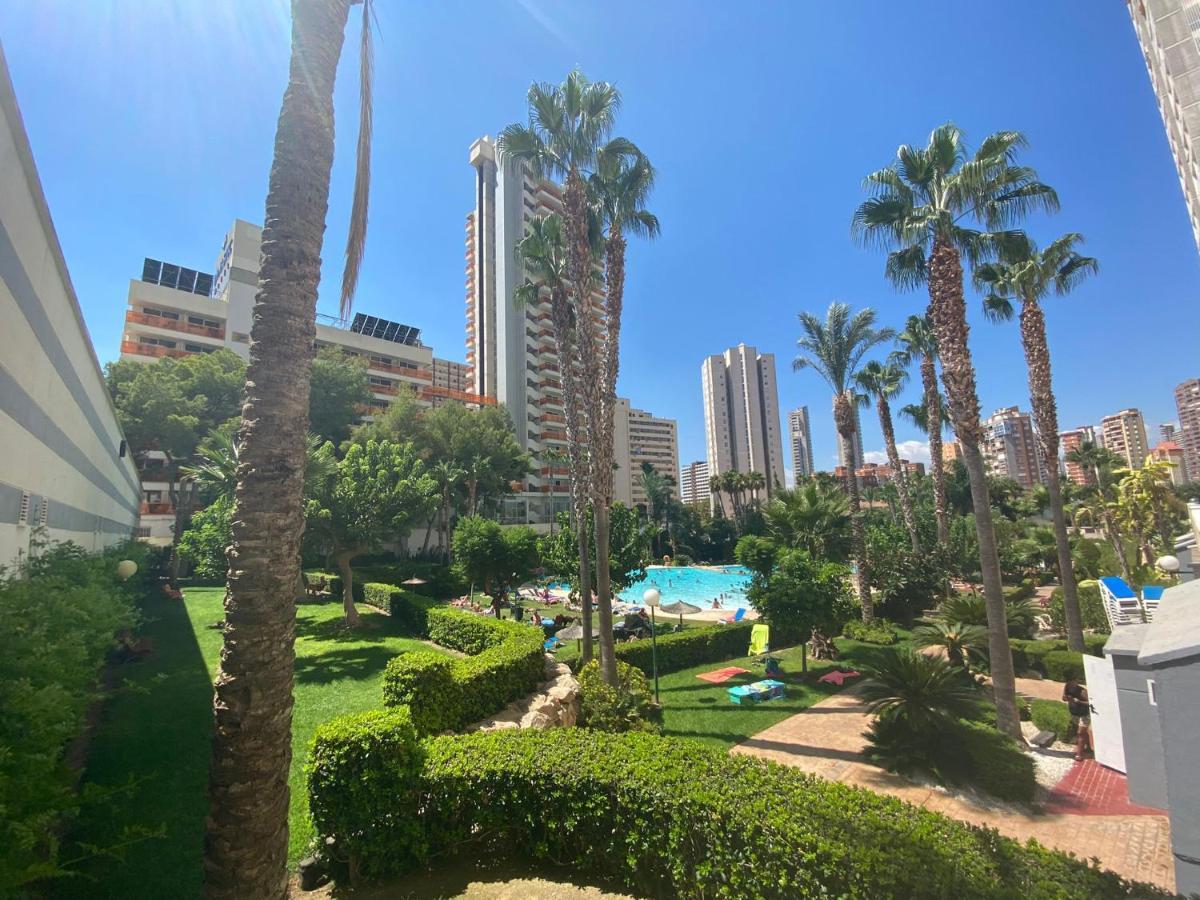 Gemelos 22-2-24 Benidorm