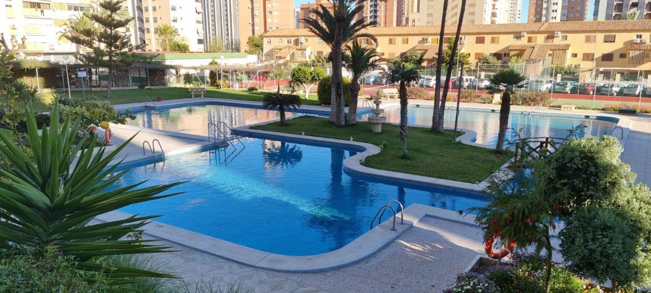 Panoramic View Appartement
