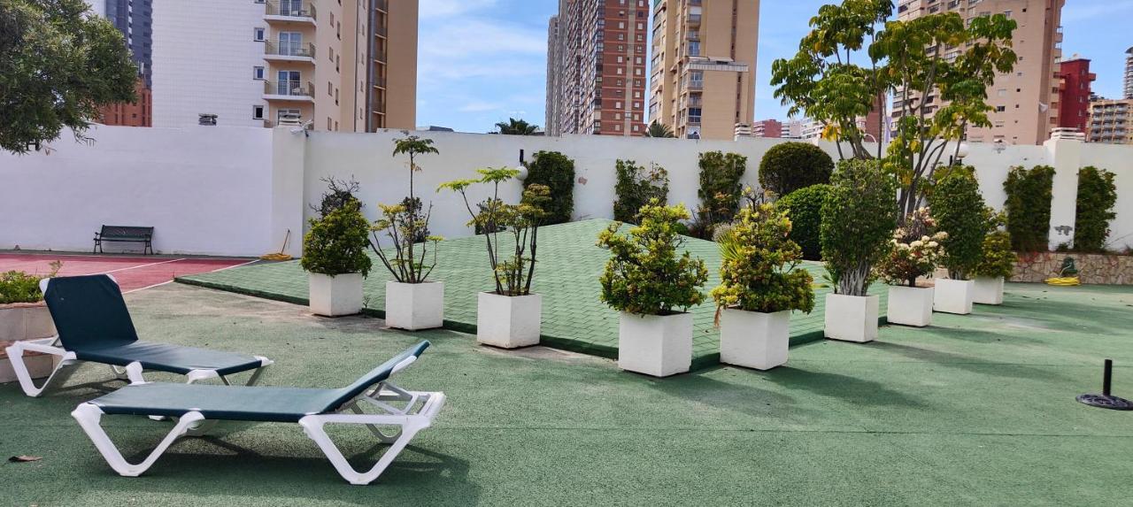 Solo Familias Domo Benidorm