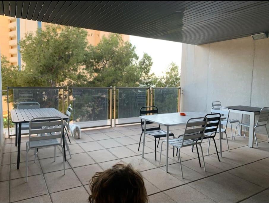 Paraiso Vacacional Apartment *